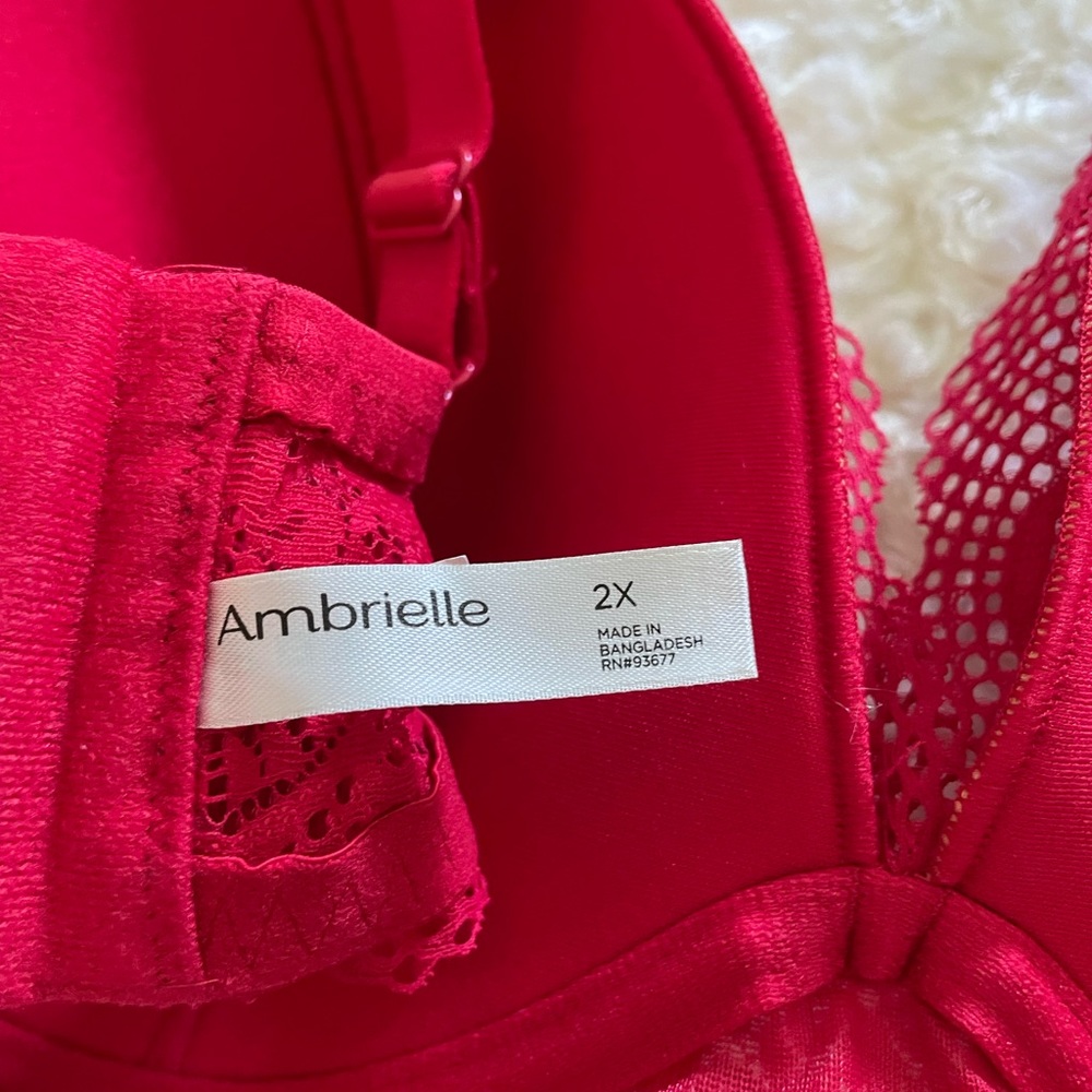 Ambrielle bra - Picture 4 of 4